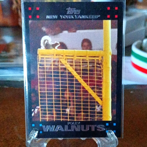Poley Wallnuts SQ1 Rare Card 💯🔥 - Picture 1 of 3